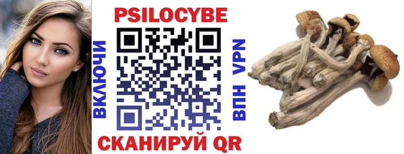 Псилоцибиновые грибы Cubensis  Карасук 